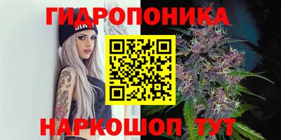 твердый Берёзовский